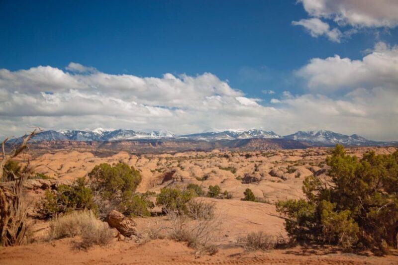 Moab: Self-Driven Guided Sunset UTV Tour to Fins N Things - Frequently Asked Questions