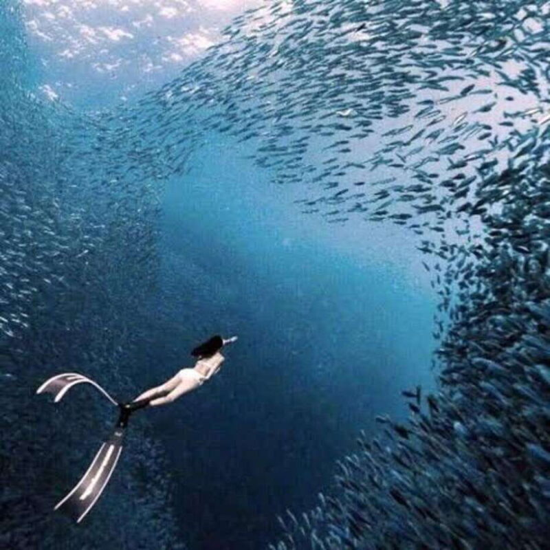 Moalboal: Island Hopping and Mantayupan Falls Day Trip - Moalboal: Island Hopping and Mantayupan Falls Day Trip