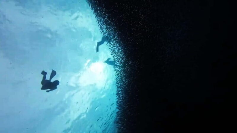 Moalboal: Pescador Island Hopping & Kawasan Canyoneering - A Consideration for Travelers