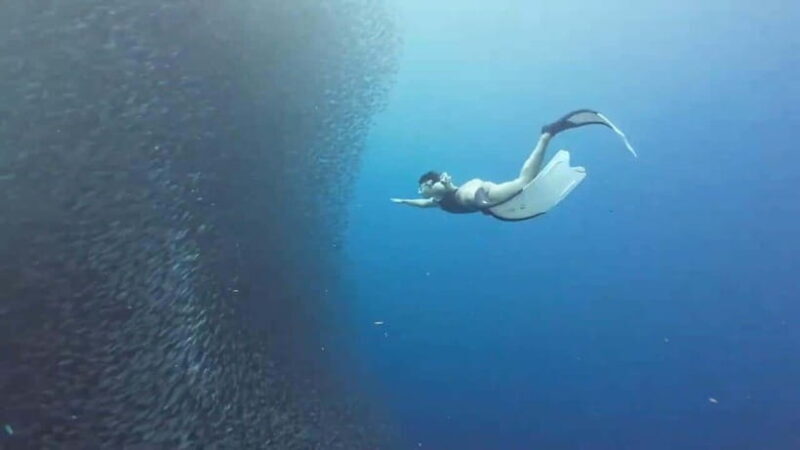 Moalboal: Pescador Island & Mantayupan Falls Adventure! - Key Points