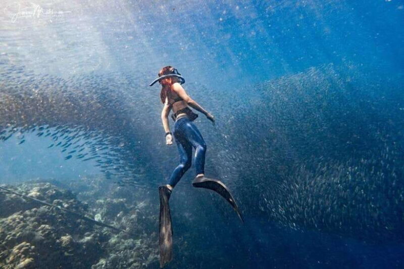 Moalboal: Scuba Diving and Pescador Island Hopping - Detailed Breakdown of the Tour Experience