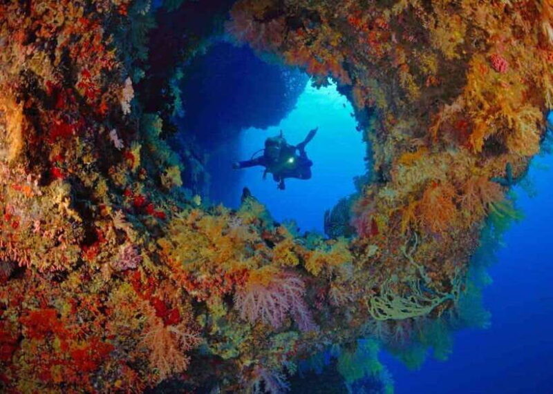 Moalboal: Scuba Diving and Pescador Island Hopping - Who This Tour Is Best For