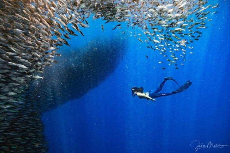 Moalboal: Scuba Diving and Pescador Island Hopping - FAQ