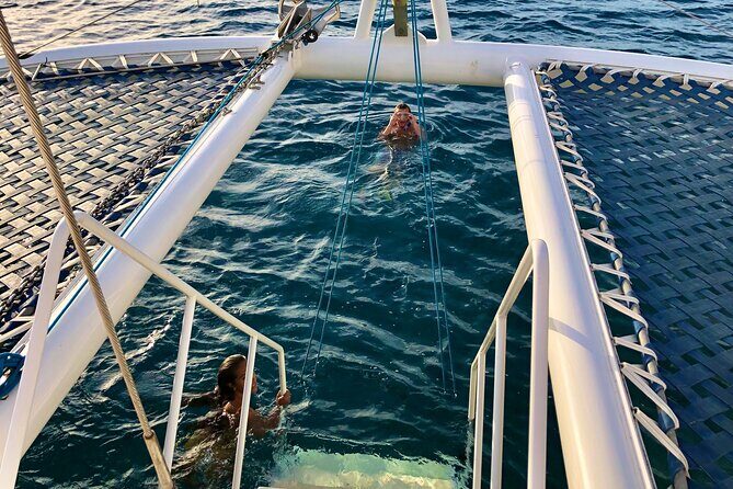 Moanas Waikk Grand Guided Turtle Snorkel & Sailing Adventure - A Deep Dive into Moana’s Turtle Snorkel & Sailing Adventure