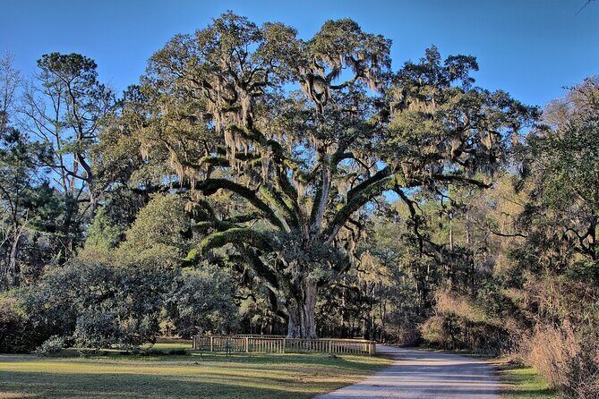 Mobile Area Multi-Attraction Pass - Who Will Love This Tour?