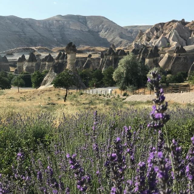 Mochiron Tour Full day Cappadocia With Japanese Guide - The Sum Up