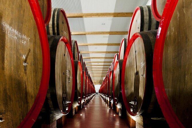 Modena area: Lambrusco Wine Tasting Experience - Who Will Love This Tour?