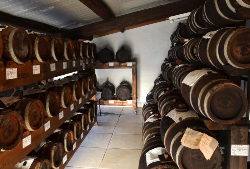 Modena: Balsamic Vinegar Tour and Tasting - The Experience in Detail
