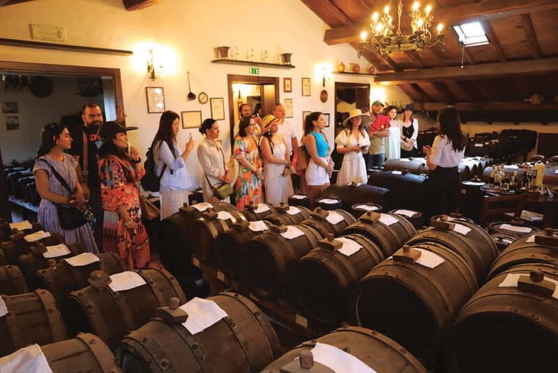MODENA: BALSAMIC VINEGAR TOUR AND TASTING - TYPICAL - Final Thoughts