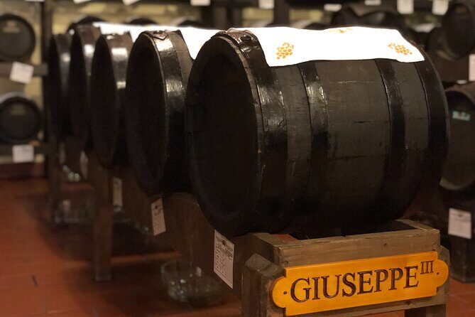 Modena Food:Prosciutto,Parmigiano,Balsamic,Wine,Lunch,Transport - A Deep Dive into the Modena Food Tour Experience