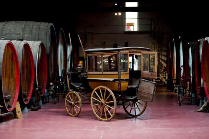 Modena: Lambrusco Wine Tasting and Cellar Tour - Modena: Lambrusco Wine Tasting and Cellar Tour — A Deep Dive into Italy’s Sparkling Gem
