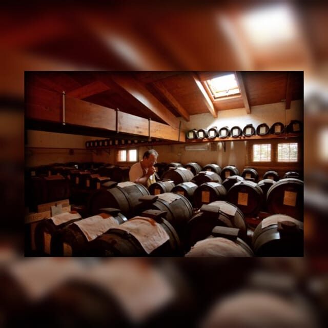 Modena:Tour&Taste of Bio & Traditional Balsamic Vinegar DOP - Discovering the True Essence of Modena: Tour & Taste of Bio & Traditional Balsamic Vinegar DOP