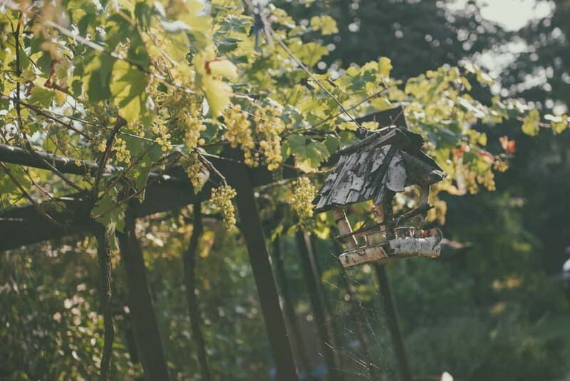 Modra: Private Wine Tasting at a Family-Operated Winery - Who Should Consider This Tour?