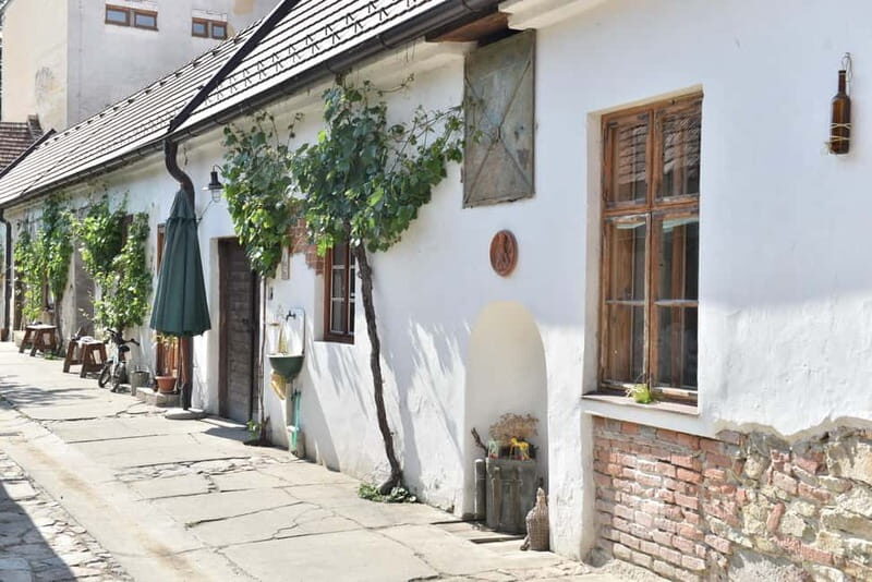 Modra: Private wine tasting guided by winery owner - An Experience Tailored for True Enthusiasts and Curious Travelers