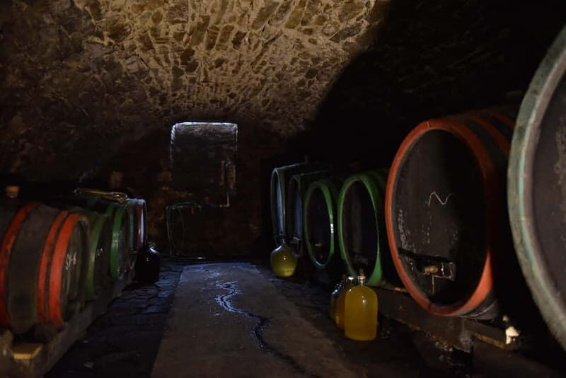 Modra: Private wine tasting guided by winery owner - The Sum Up