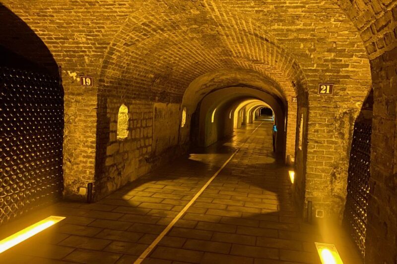 Moet et Chandon Pommery Pressoria Champagne Private trip - The Value of This Tour