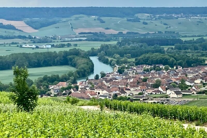 Moet et Chandon Pommery Pressoria Champagne Private trip - Who Should Consider This Tour?