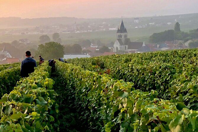 Moet et Chandon Pommery Pressoria Champagne Private trip - Final Thoughts on Value