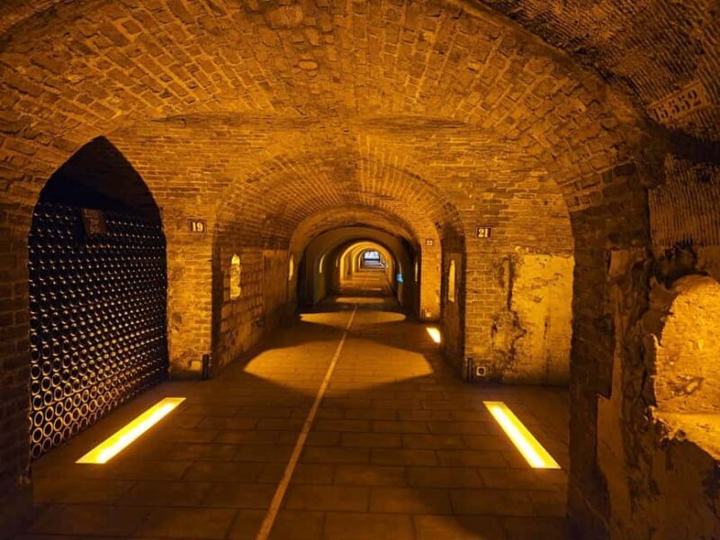 Moet et Chandon Tasting and Fun Private Tour in Champagne - Moët et Chandon Tasting and Fun Private Tour in Champagne: A Deep Dive into French Sparkling Wine