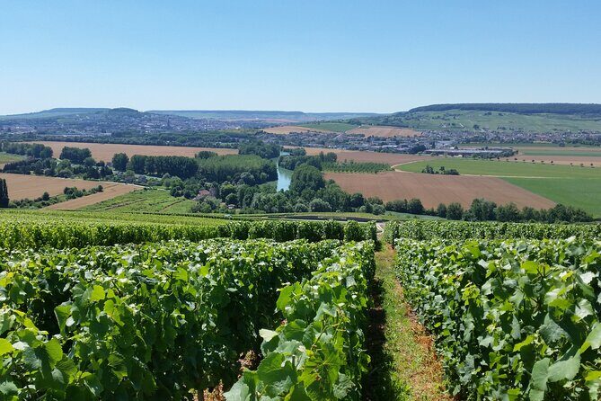 Moet et Chandon Tasting and Fun Private Tour in Champagne - A Full Breakdown of the Champagne Experience
