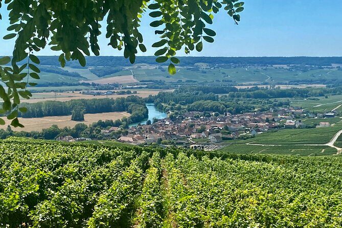 Moet et Chandon Veuve Clicquot Private Champagne trip from Paris - The Itinerary in Detail