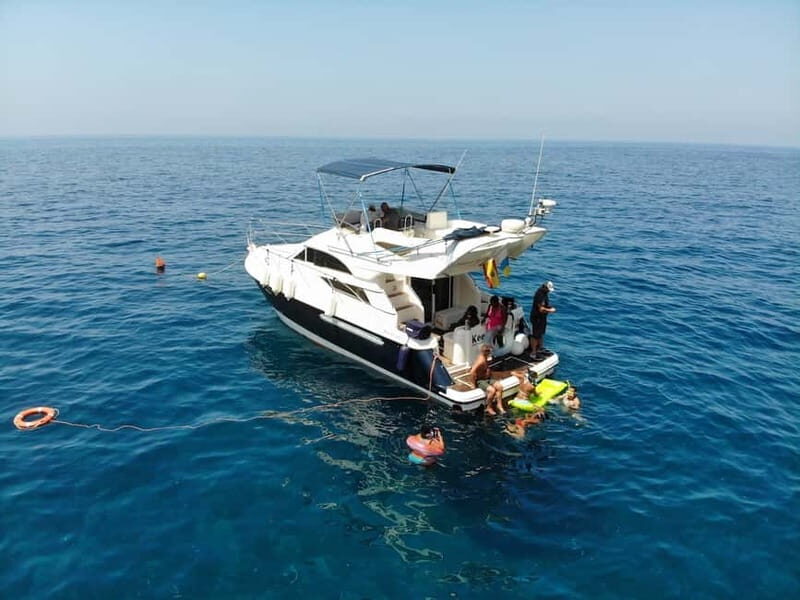 Mogan: Dolphin Watching Boat Trip with Swim Stop - An Authentic Marine Journey in Gran Canaria