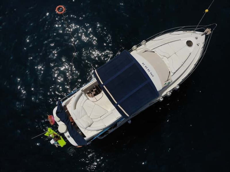 Mogan: Dolphin Watching Boat Trip with Swim Stop - Who Should Consider This Tour?