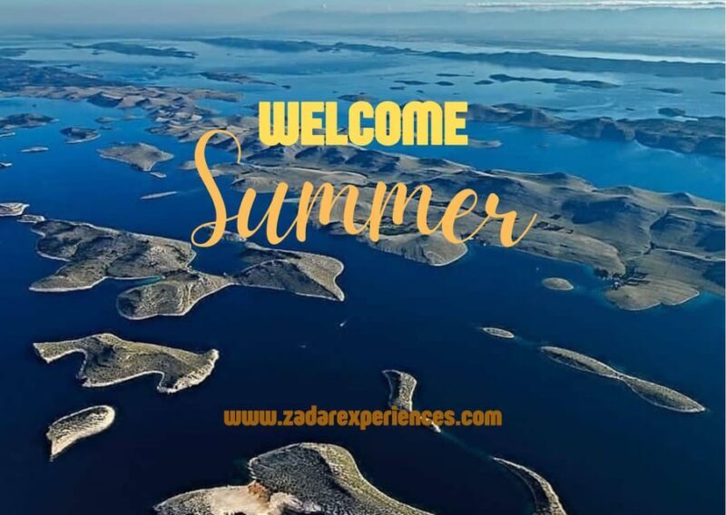 Molat Island Dolphin Watching Boat Tour 6hours TOUR - The Practicalities and Pricing