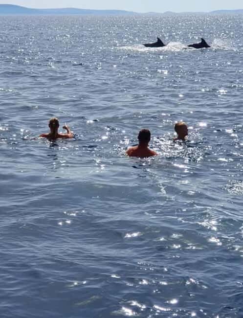 Molat Island Dolphin Watching Boat Tour 6hours TOUR - FAQ