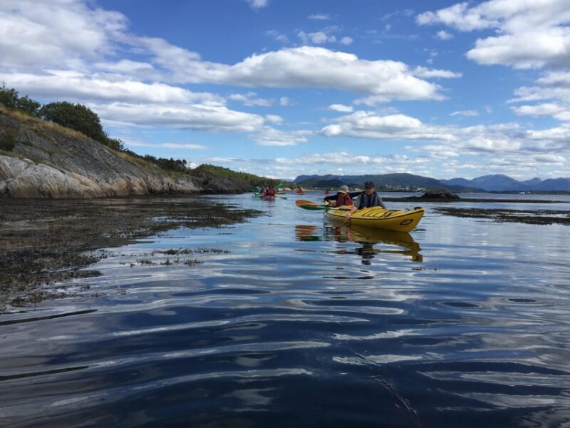 Molde - Guided kayak tour - Molde - Guided kayak tour: An authentic Norwegian coastal experience
