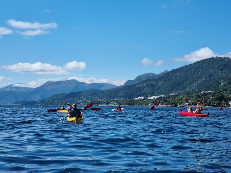 Molde - Guided kayak tour - Frequently Asked Questions