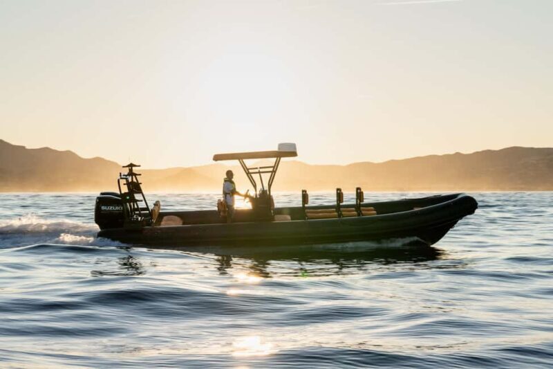 Molène Archipelago: Sea trips departing from Crozon. Seals, dolphins, - Exploring the Molène Archipelago: An Authentic Marine Experience