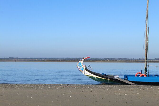 Moliceiro boat trip, with experience in bivalves harvesting - A Closer Look at the Moliceiro Boat Trip