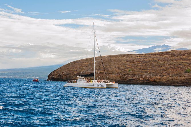 Molokini and Turtle Arches Snorkeling Trip from Ma'alaea Harbor - FAQs