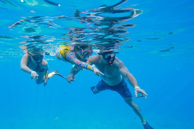 Molokini Crater and Turtle Town Snorkeling From Kihei - The Sum Up