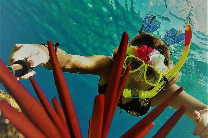 Molokini Crater Zodiac Adventure: Snorkel and Turtle Cove Swim - The Itinerary in Detail: What You Can Expect