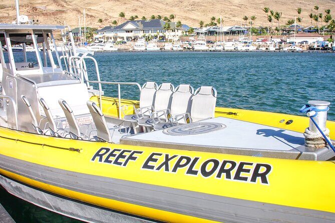 Molokini Crater Zodiac Adventure: Snorkel and Turtle Cove Swim - Frequently Asked Questions