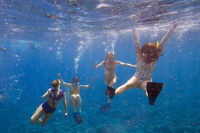 Molokini Snorkel and Performance Sail from Ma'alaea Harbor - Key Points