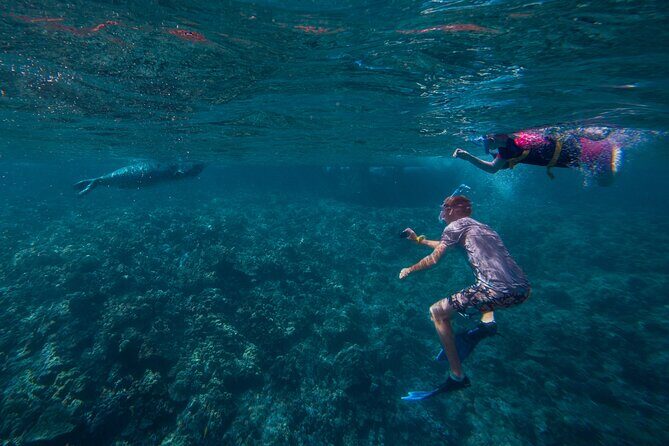 Molokini Snorkel and Performance Sail from Ma'alaea Harbor - Final Thoughts