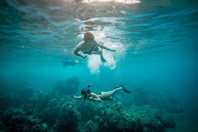 Molokini Snorkel Trip 2-Hour From Kihei - Key Points