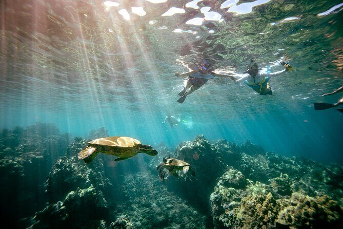 Molokini Snorkel Trip 2-Hour From Kihei - Final Thoughts