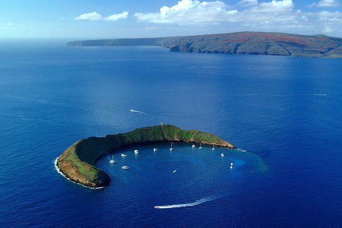Molokini Snorkeling Adventure Aboard Calypso From Ma'alaea Harbor - Practicalities: What to Expect and Tips