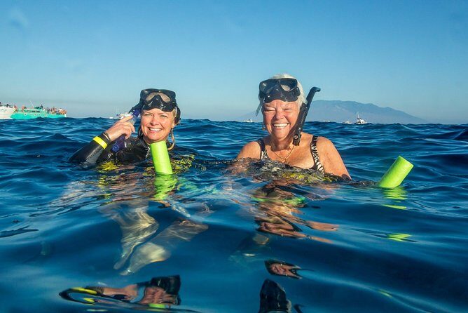Molokini & Turtle Adventure: Small Group from Ma'alaea Harbor - Discover the Wild Side of Molokini & Turtle Town: A Practical Review of the Small-Group Snorkel Adventure from Maalaea Harbor