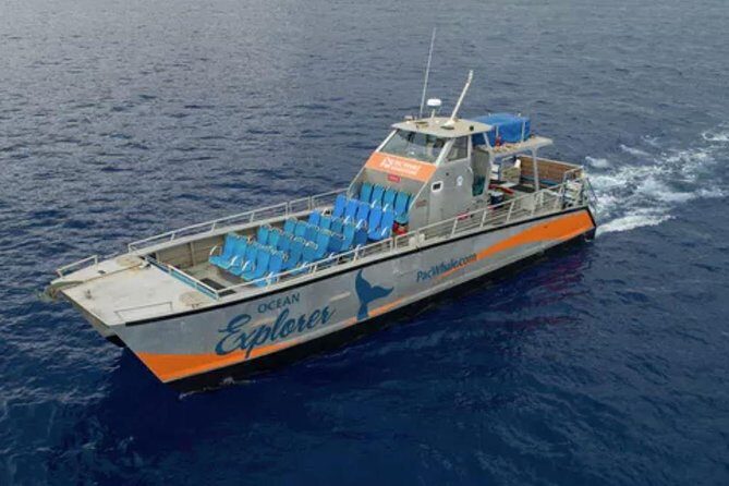 Molokini & Turtle Adventure: Small Group from Ma'alaea Harbor - Who Will Love This Tour?