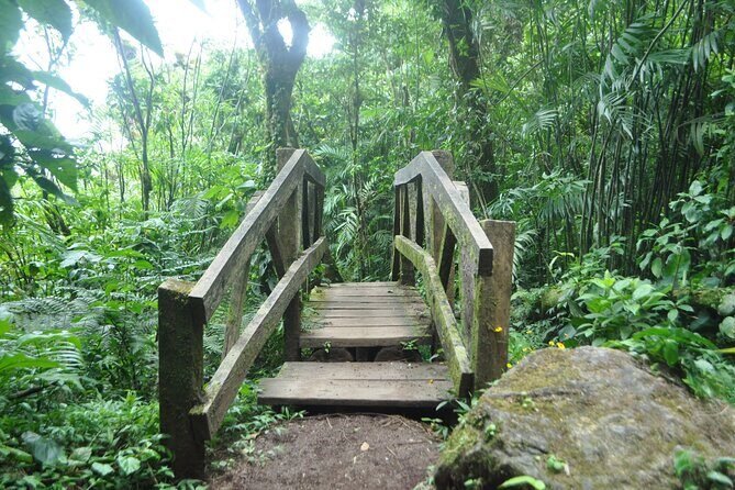 Mombacho Volcano Trails inside the cloud forest & landscapes - Final Thoughts