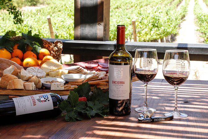 Moment Tour Tasting Icon - An Intimate Look at Chile’s Boutique Encierra Vineyard: A Review of the Moment Tour Tasting Icon