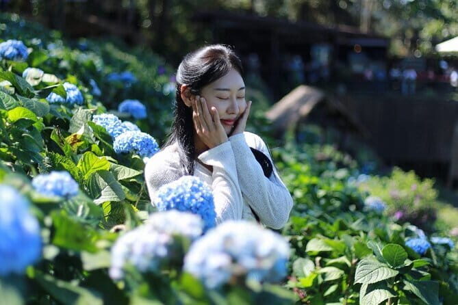 Mon Jam, Elefin Café, and Cypress Lane Chiang Mai - Key Points