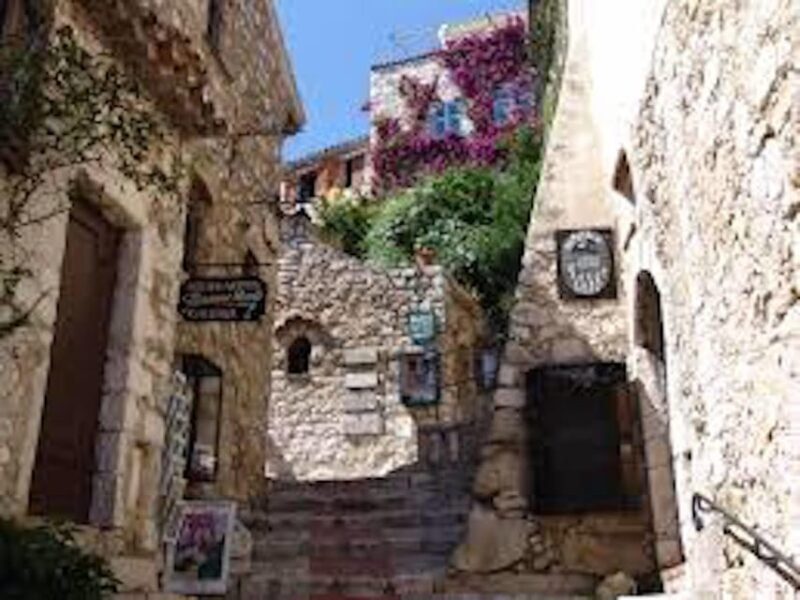 Monaco and Perched Medieval Villages Day Tour from Nice - Who Will Love This Tour?