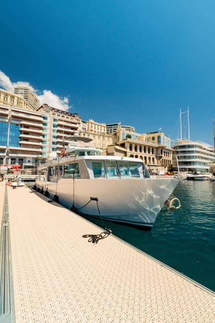 Monaco : Cetacean Watching Boat Cruise - The Wildlife You Might Encounter
