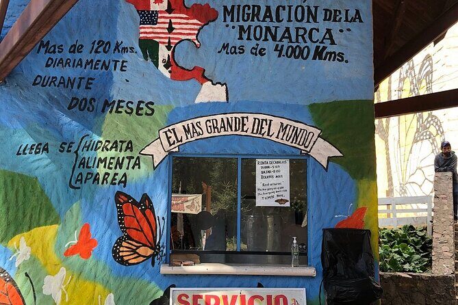 Monarch Butterflies Experience - Witnessing the Monarch Butterfly Migration